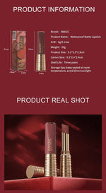 IMAGIC Matte Lipstick-Raspberry
