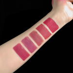 5 In 1 Matte Lipstick Kit Waterproof-Shade-01