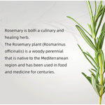 Mielle Rosemary Hair Growth Essential Oil