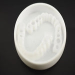 Adult Adjustable Dentures Teeth Set-1 pair