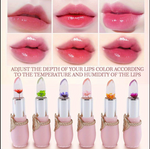 ( ৬ পিসের সেট ) Jelly Dried Flower Color Changing Lip Balm