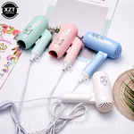(রোজপিঙ্ক কালার) Two-Speed Wind Mini Hair Dryer