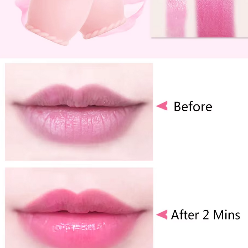 ( ৬ পিসের সেট ) Jelly Dried Flower Color Changing Lip Balm