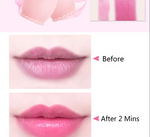 ( ৩ পিসের সেট ) Jelly Dried Flower Color Changing Lip Balm