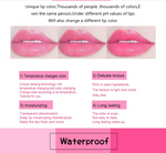 ( ১ পিস) Jelly Dried Flower Color Changing Lip Balm