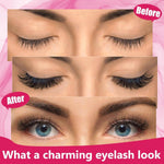 DIY 320 Piece Lash Cluster Kit